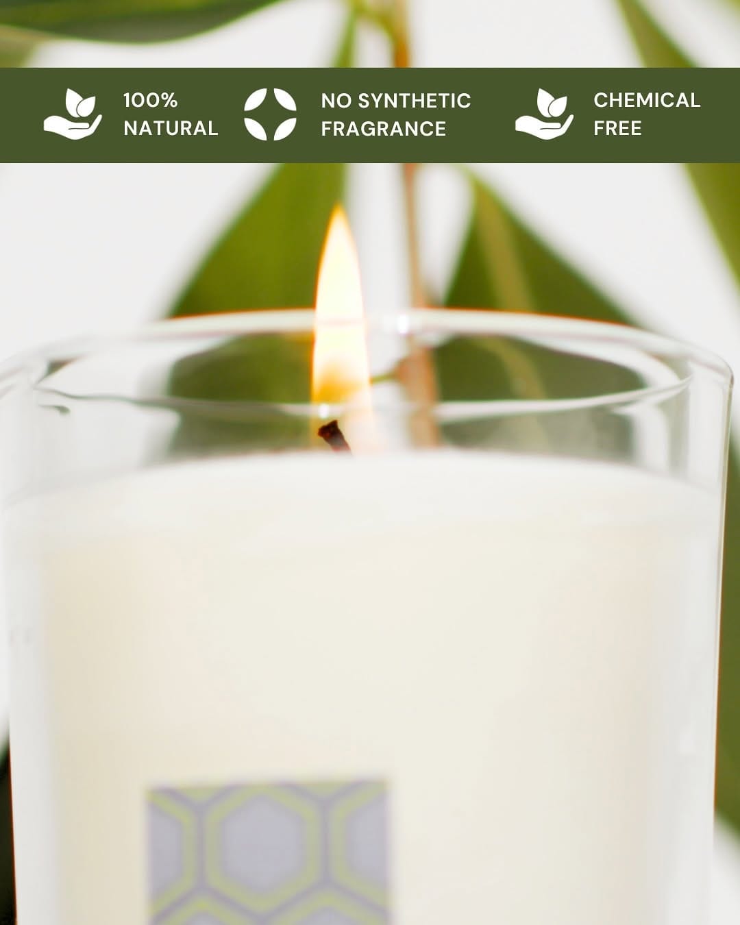 Post 6 by SunLeaf ༶ Clean Home Beauty Wellness on Instagram (carousel)