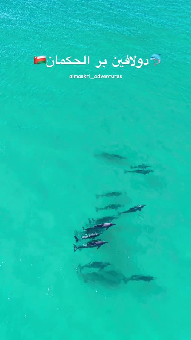 Post 2 by مها السويدي Maha AlSuwaidi on Instagram (video)