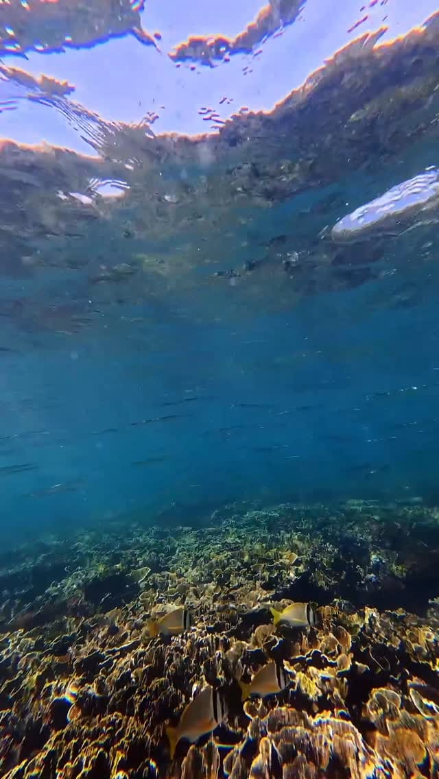 Post 1 by مها السويدي Maha AlSuwaidi on Instagram (video)