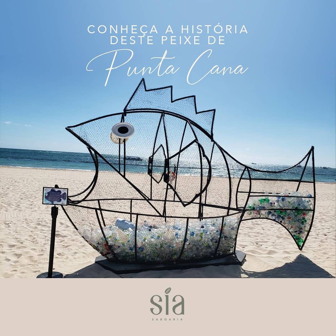 Post 5 by SIA SABOARIA on Instagram (image)