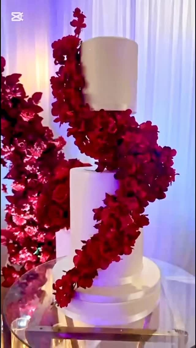 Post 8 by M. de-Souza on Instagram (video)