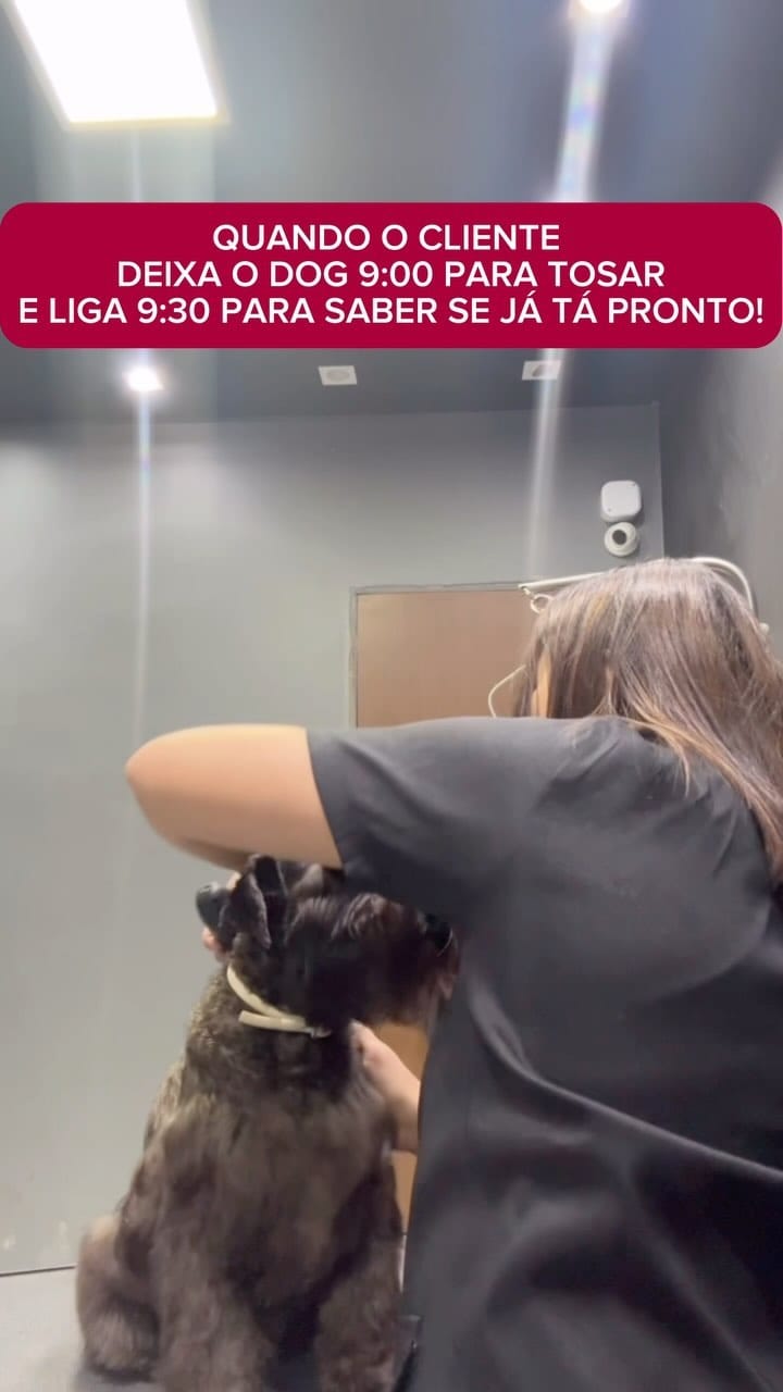Post 6 by Patrícia Feitosa Teles on Instagram (video)