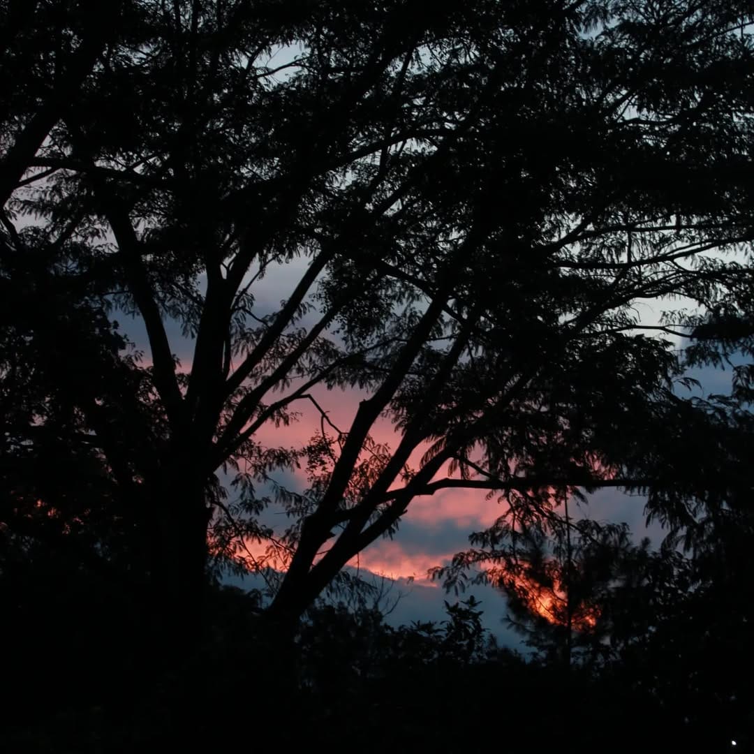 Post 2 by @ryansights on Instagram (image)