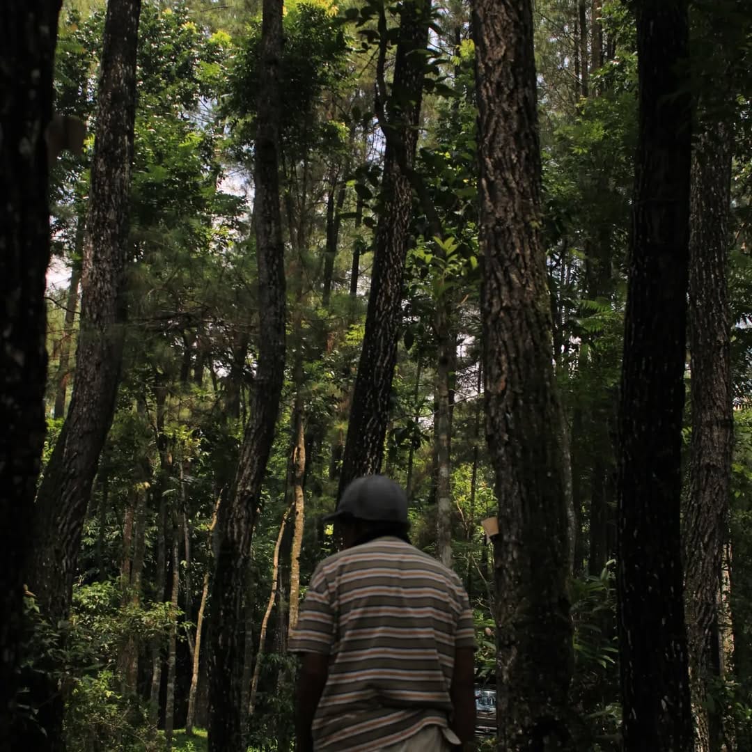Post 3 by @ryansights on Instagram (image)