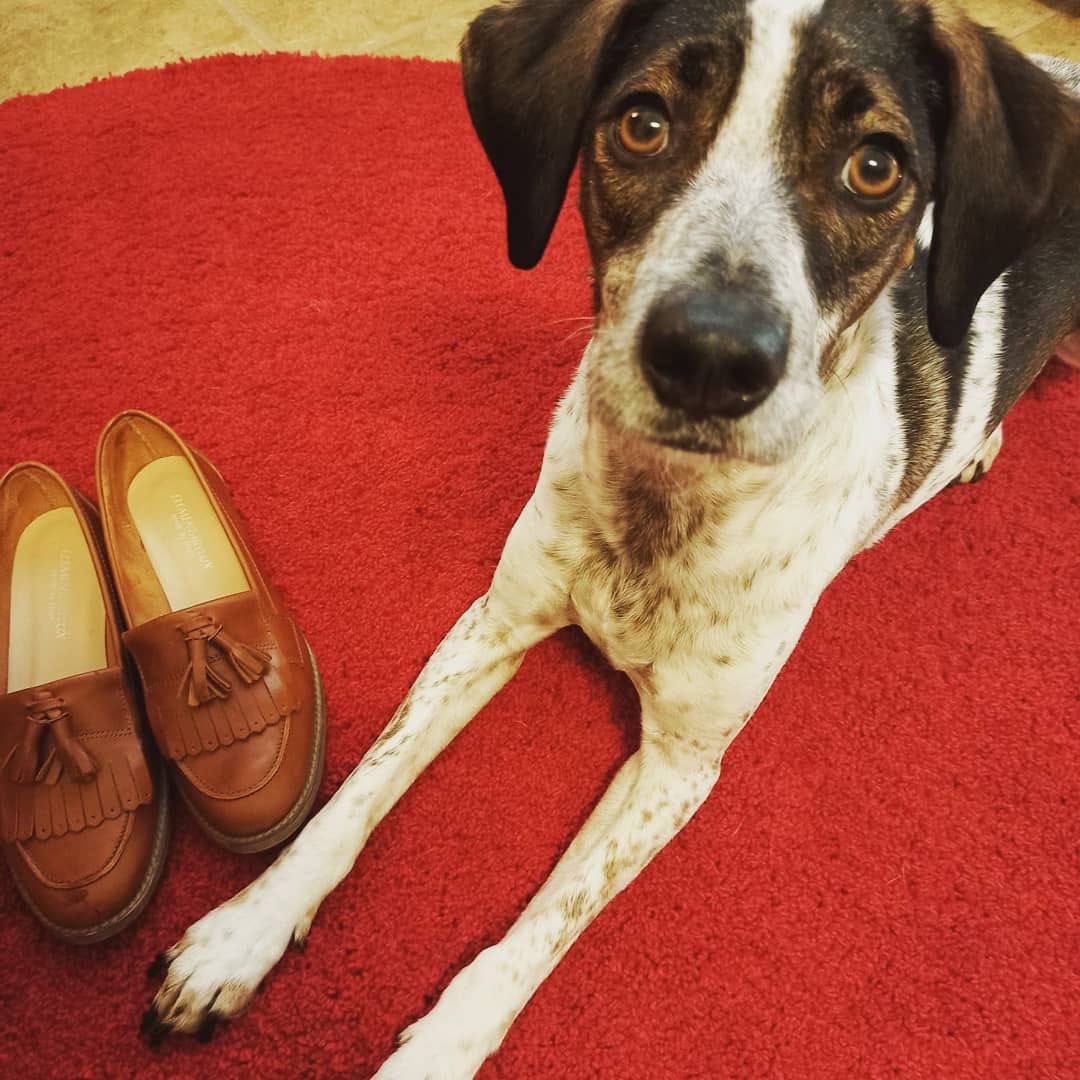 Post 10 by ELEMENTARYLUX/ Italian shoes on Instagram (image)