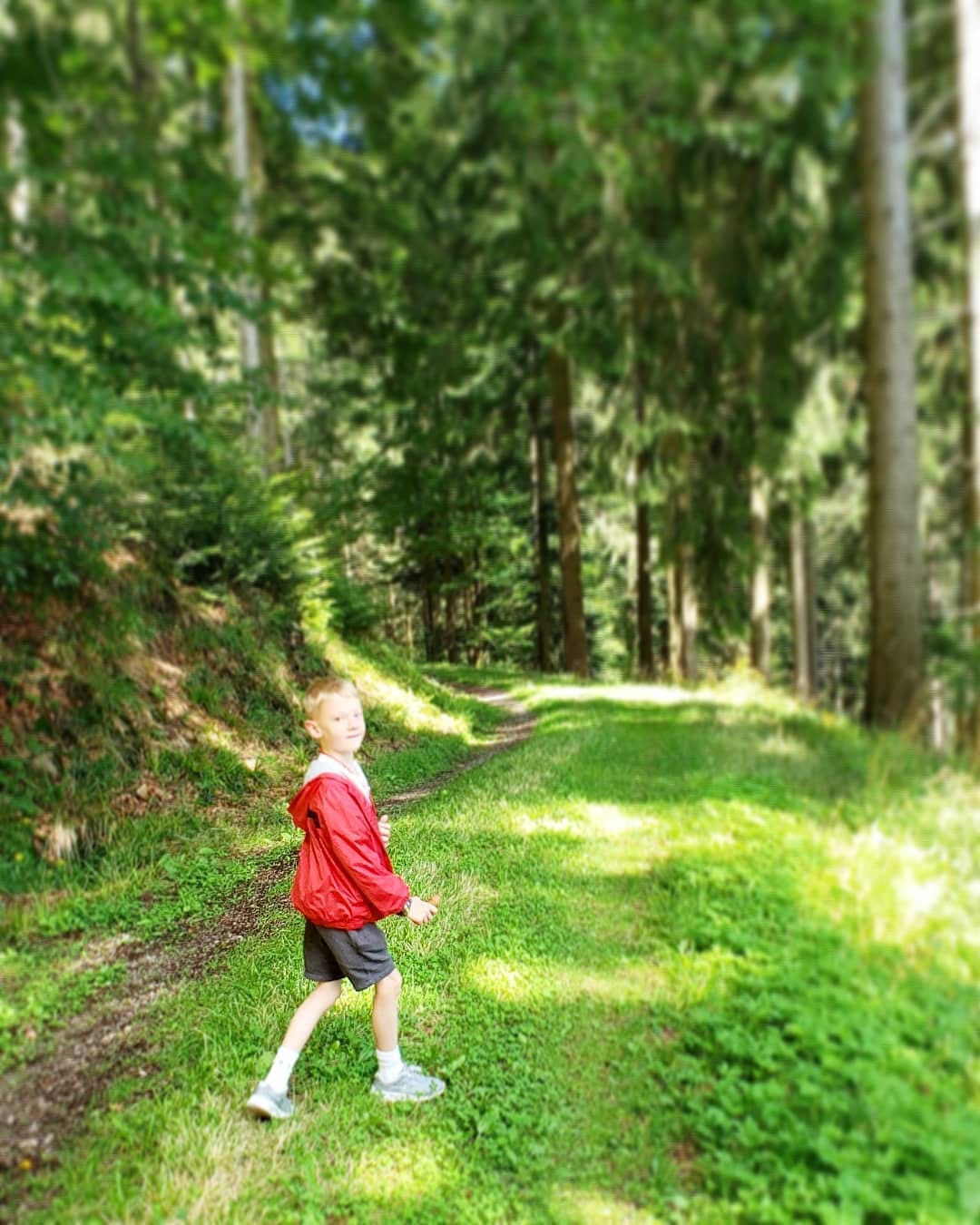 Post 6 by Donna 🌍 Harris on Instagram (image)