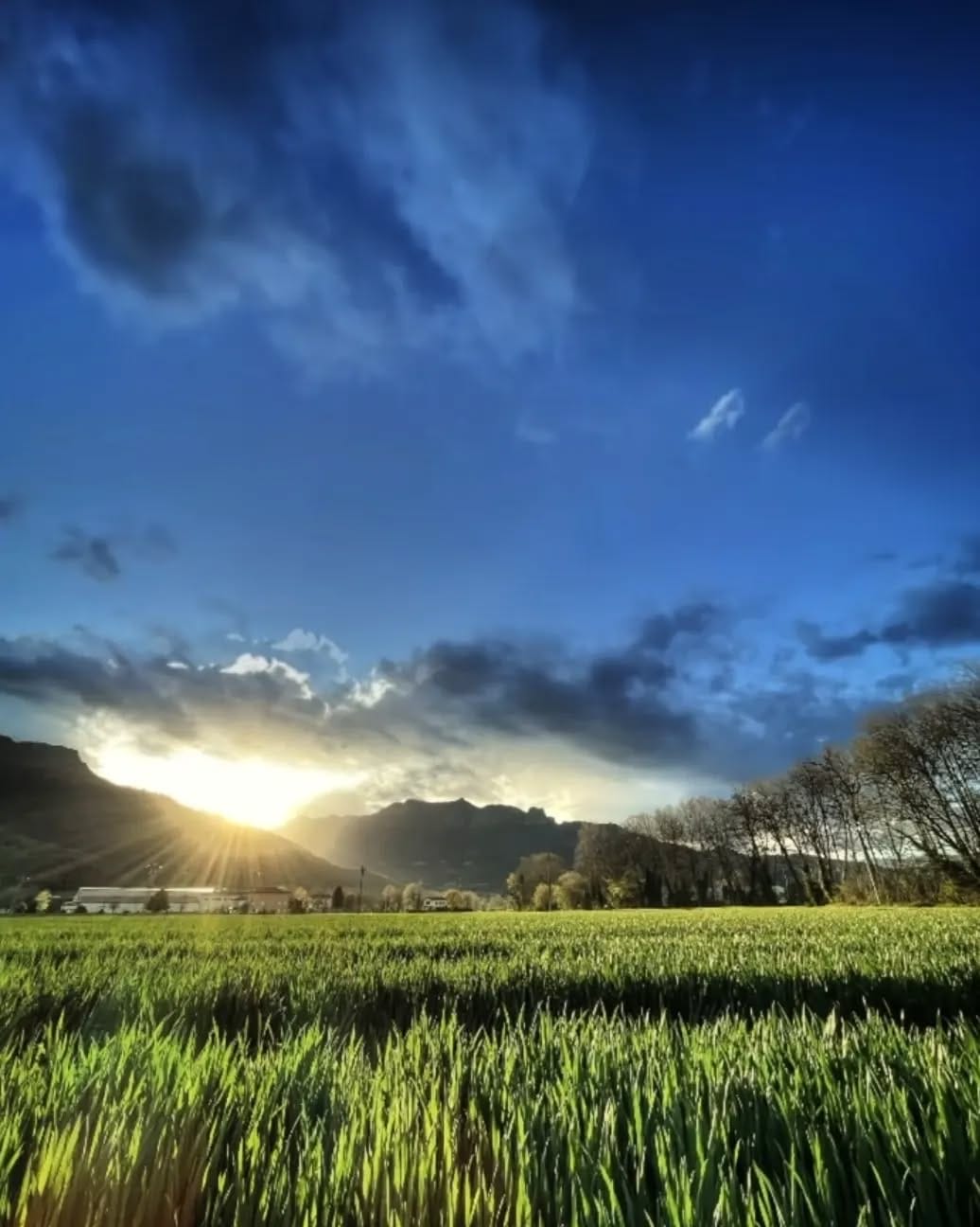 Post 3 by Sébastien Sarro on Instagram (image)