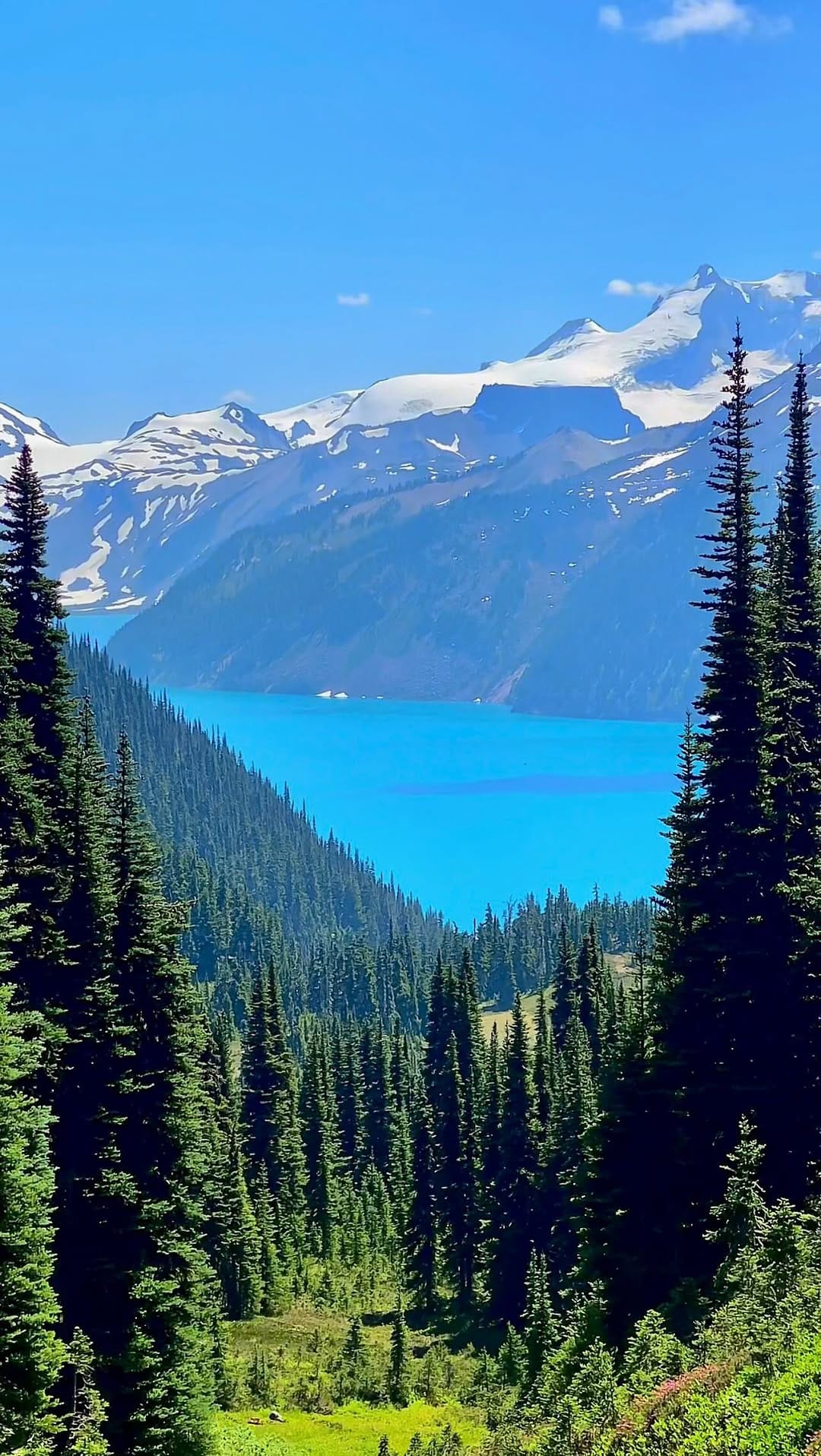 Post 8 by BHINDA RANA on Instagram (video)