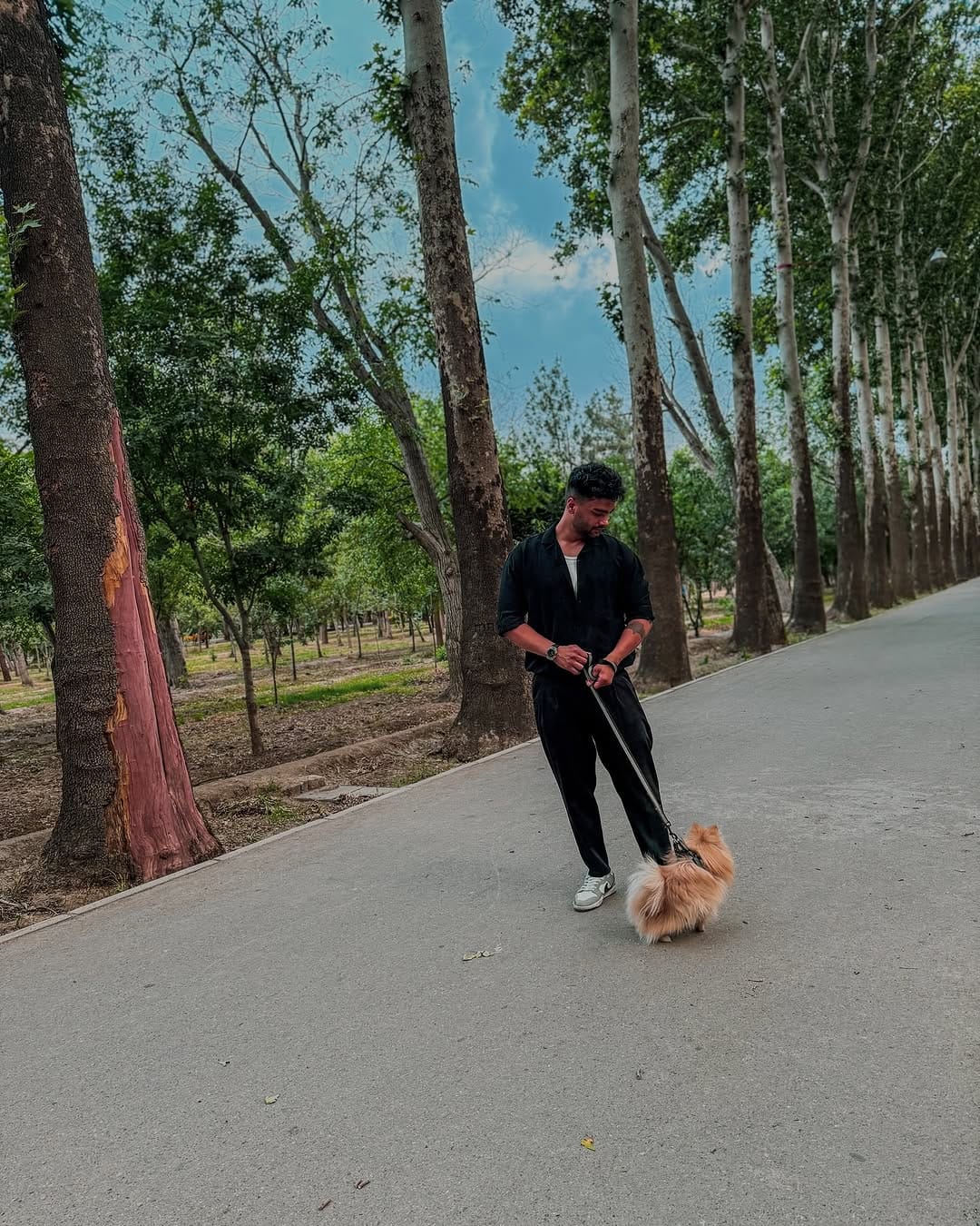 Post 2 by علیرضا احمدی on Instagram (image)
