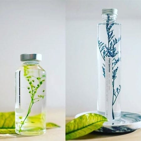 Post 2 by Les Quintessences on Instagram (carousel)