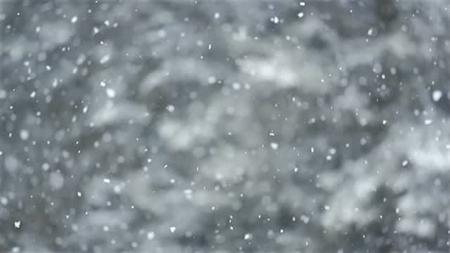 Post 2 by Tyler Chorlton on Instagram (video)