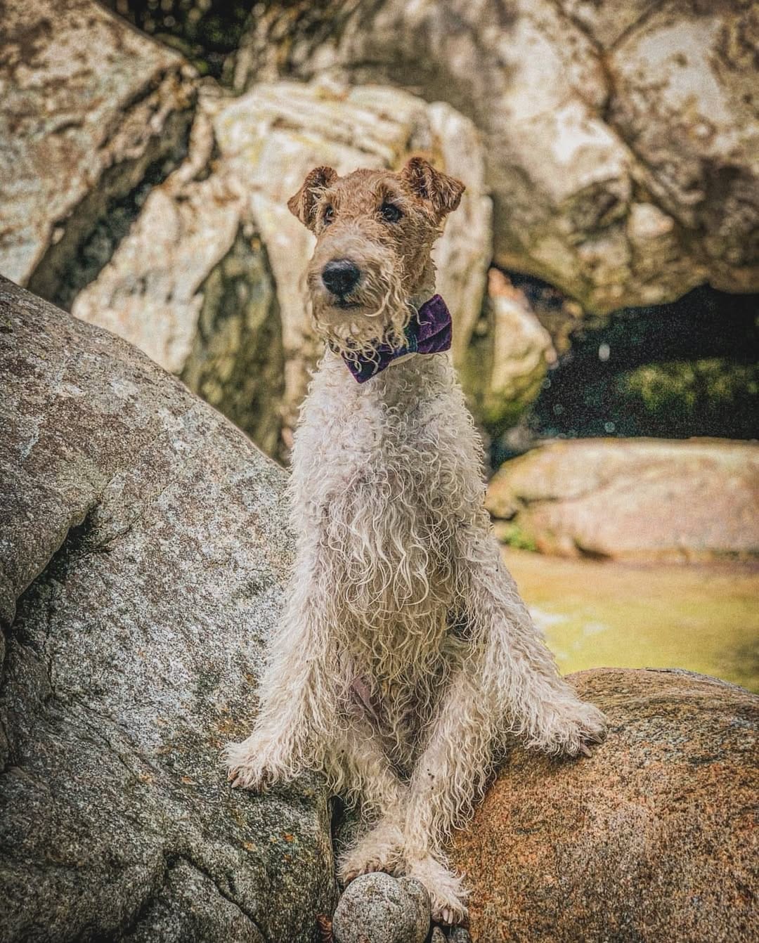 Post 4 by Milou & Co on Instagram (image)