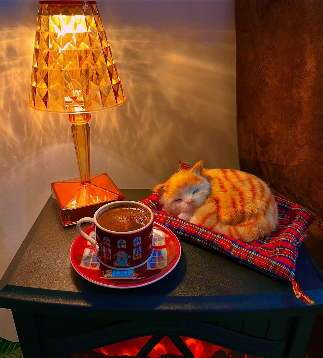 Post 4 by Gezenti Kahvesi on Instagram (carousel)