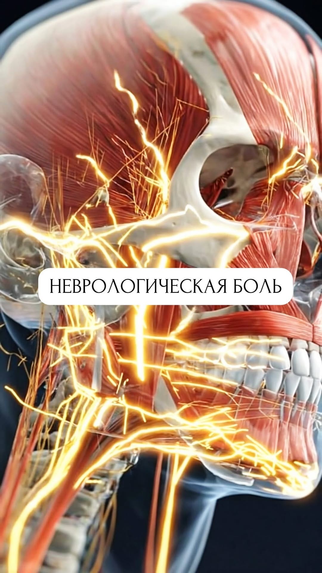 Post 7 by ОРТОДОНТ-ГНАТОЛОГ | МОСКВА on Instagram (video)