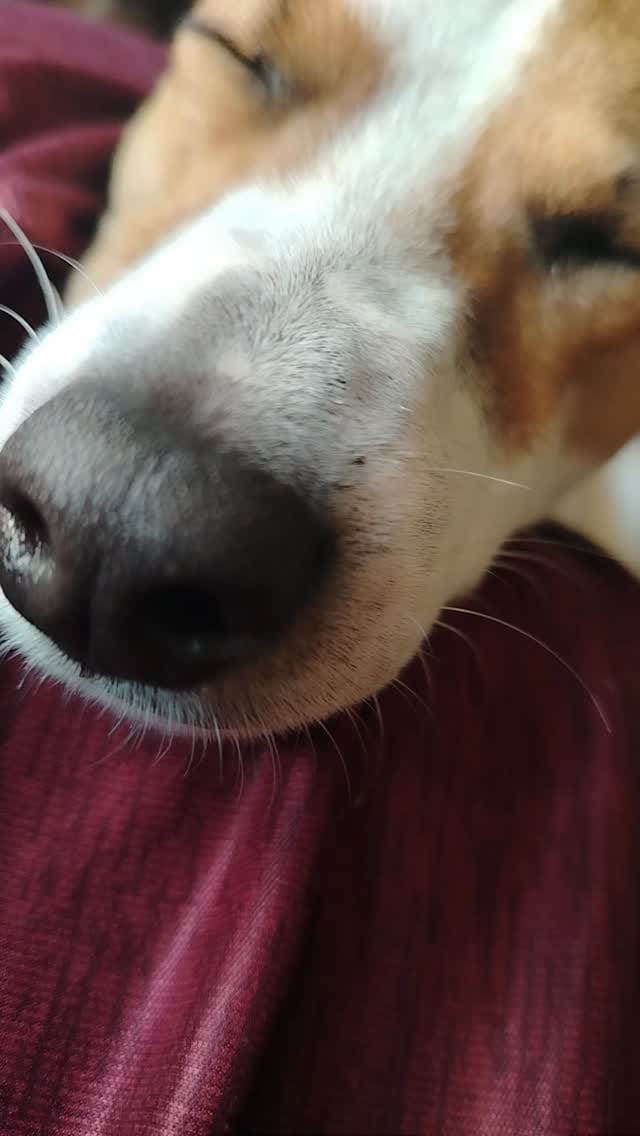 Post 7 by 𝗛𝗼𝗴𝘂𝗲𝗿 ] 𝗙𝗢𝗧𝗢𝗚𝗥𝗔𝗙𝗜́𝗔 + 𝗩𝗜𝗔𝗝𝗘𝗦 on Instagram (video)