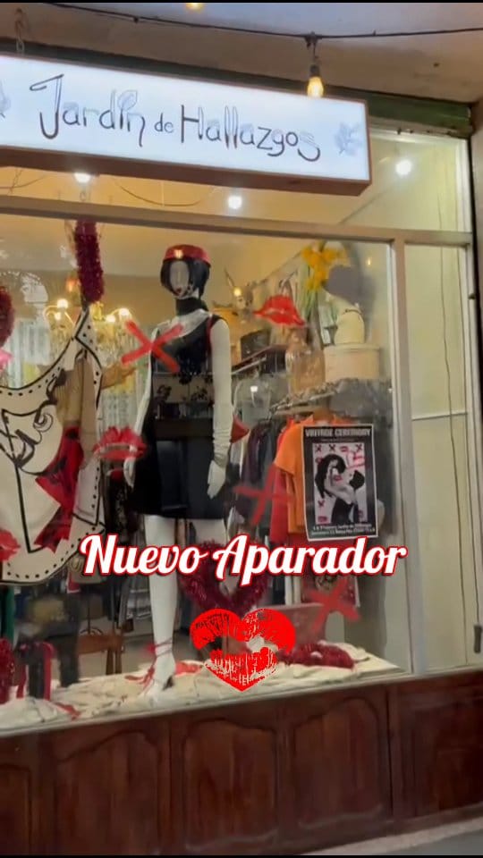 Post 5 by Jardín de Hallazgos on Instagram (video)