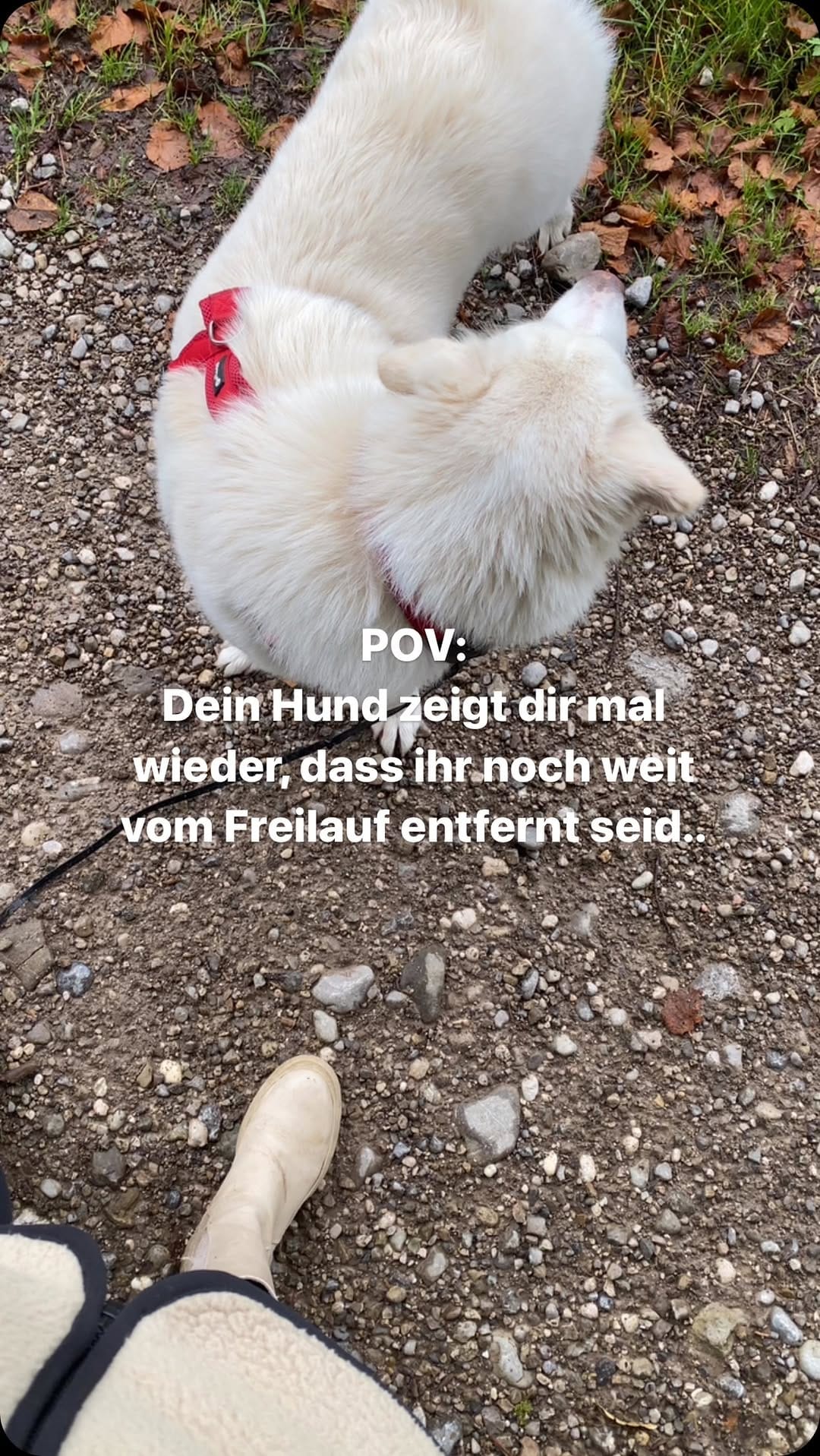 Post 6 by Denise on Instagram (video)