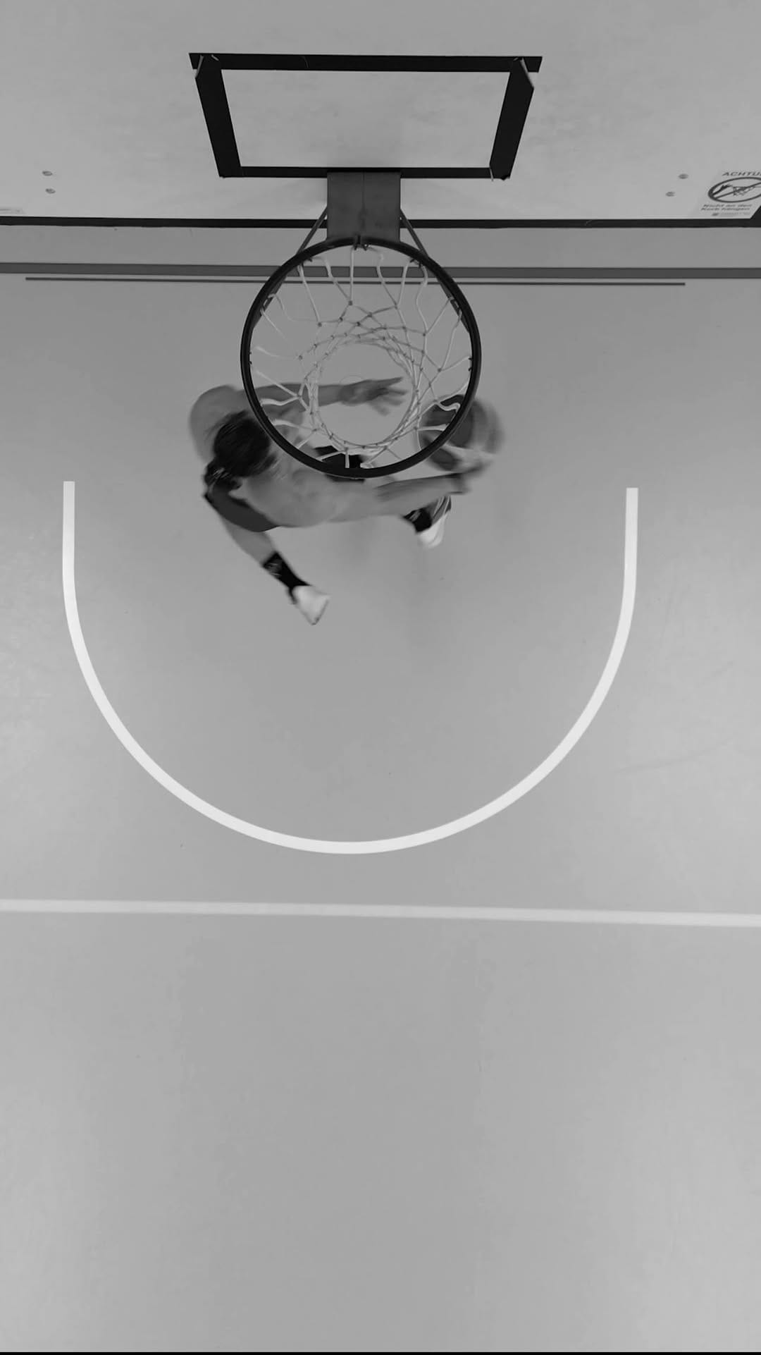 Post 7 by Toni Noeldemann on Instagram (video)