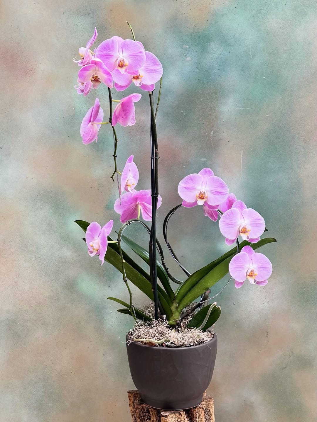 Post 3 by M O R A I M A on Instagram (image)