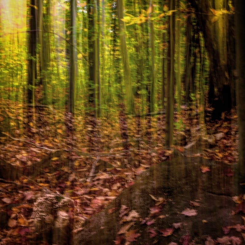Post 7 by Renaud Harrison on Instagram (image)