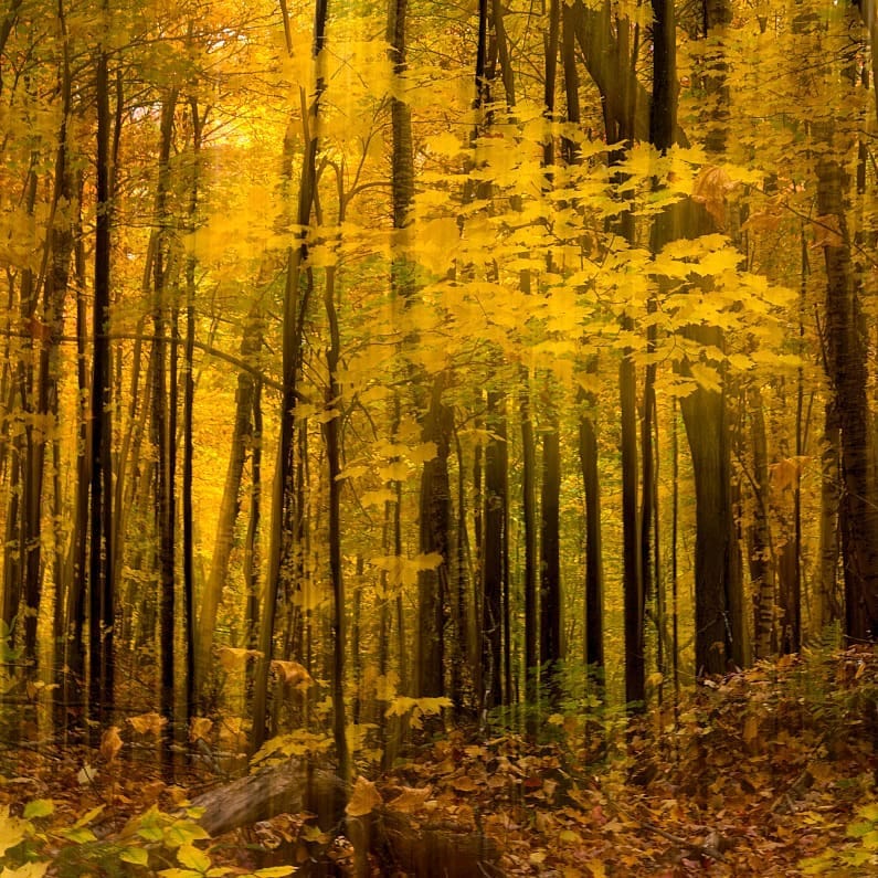 Post 9 by Renaud Harrison on Instagram (image)