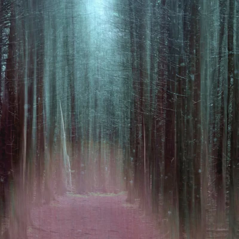 Post 1 by Renaud Harrison on Instagram (image)