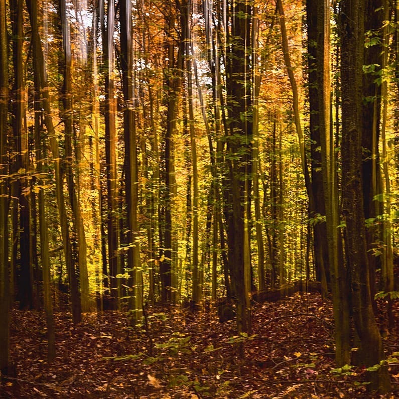 Post 8 by Renaud Harrison on Instagram (image)