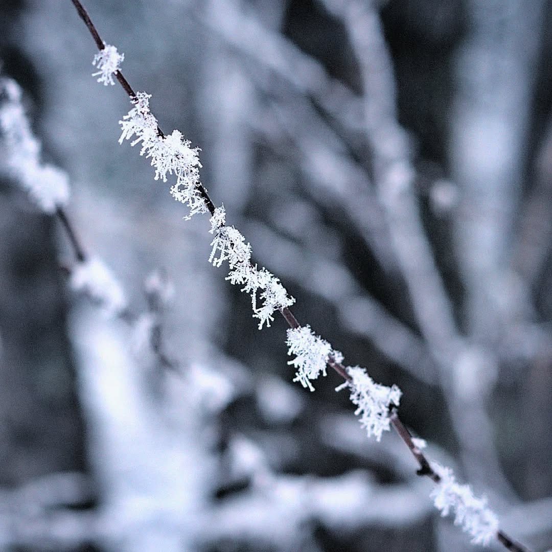 Post 3 by Renaud Harrison on Instagram (image)