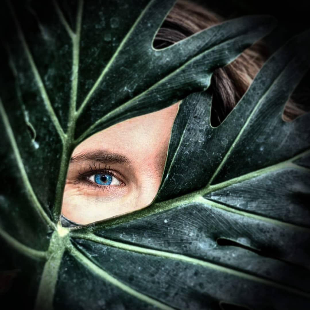 Post 10 by Renaud Harrison on Instagram (image)