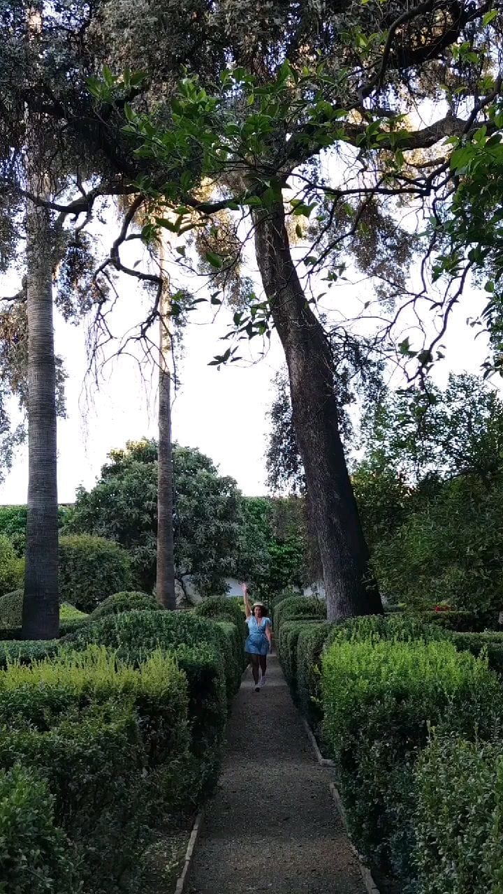 Post 9 by Andy/Criadora de Conteúdo on Instagram (video)