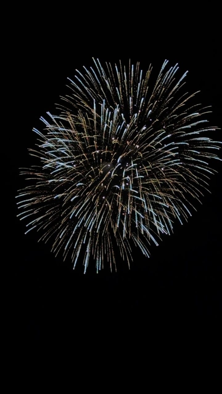 Post 1 by PFTF on Instagram (video)