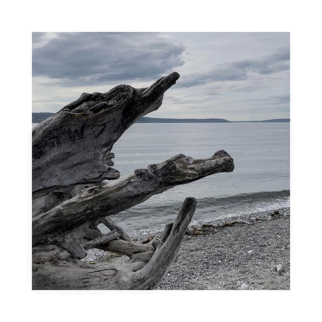 Post 6 by PFTF on Instagram (image)