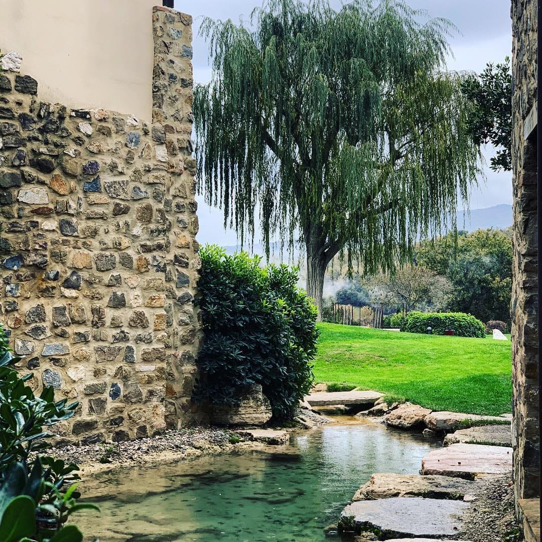 Post 2 by Vittoria 🌱 on Instagram (image)