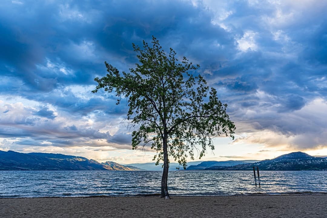Post 3 by Anthony Tn on Instagram (image)