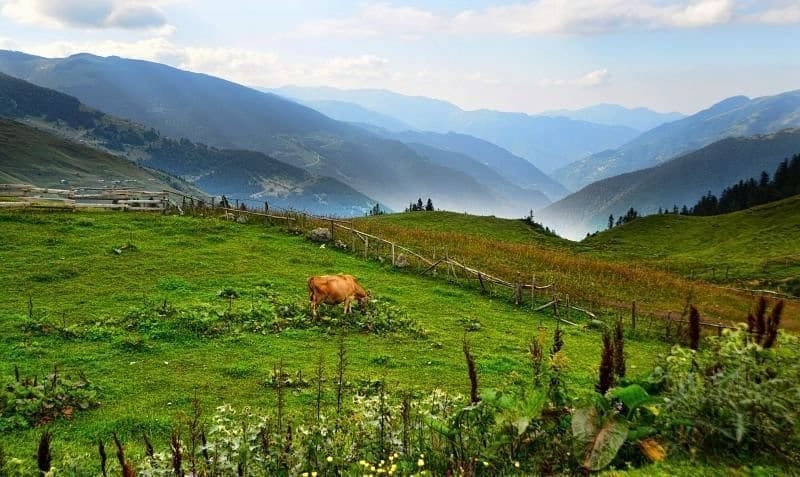 Post 1 by TravelOn Tourism Co. 🇹🇷 on Instagram (carousel)