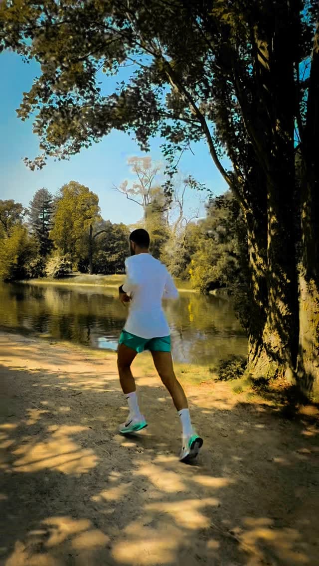 Post 7 by Simo Azzam on Instagram (video)