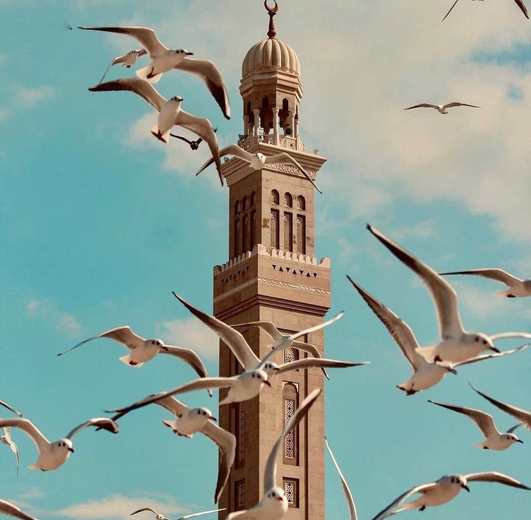 Post 5 by VISIT DUBAI on Instagram (image)