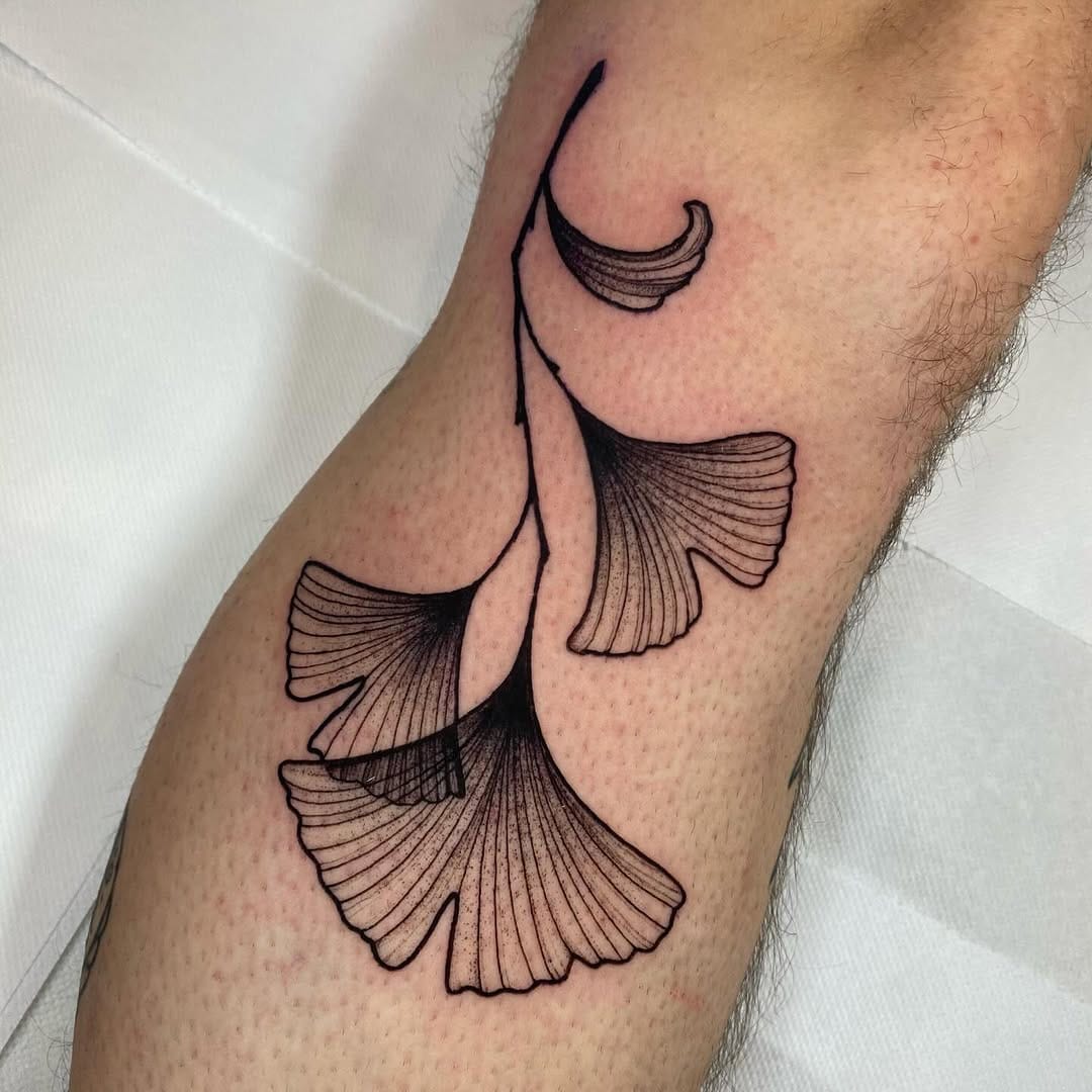 Post 7 by ELVIRA SECO GARCIA on Instagram (carousel)