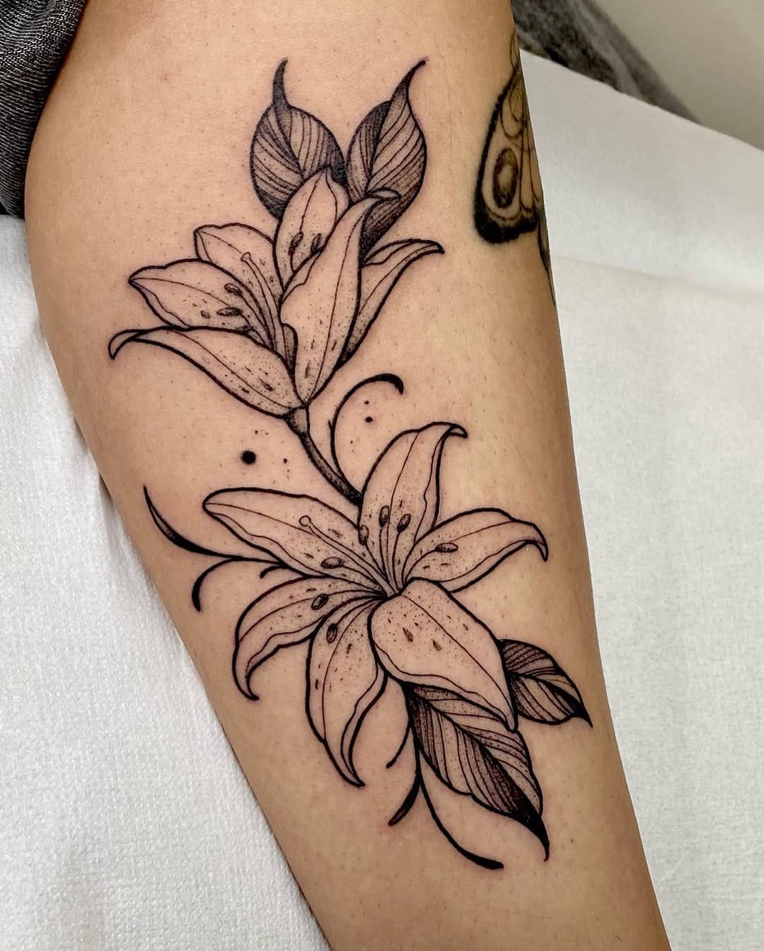 Post 6 by ELVIRA SECO GARCIA on Instagram (carousel)