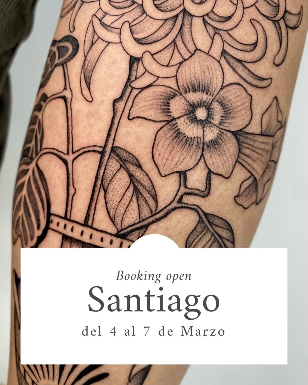 Post 8 by ELVIRA SECO GARCIA on Instagram (carousel)