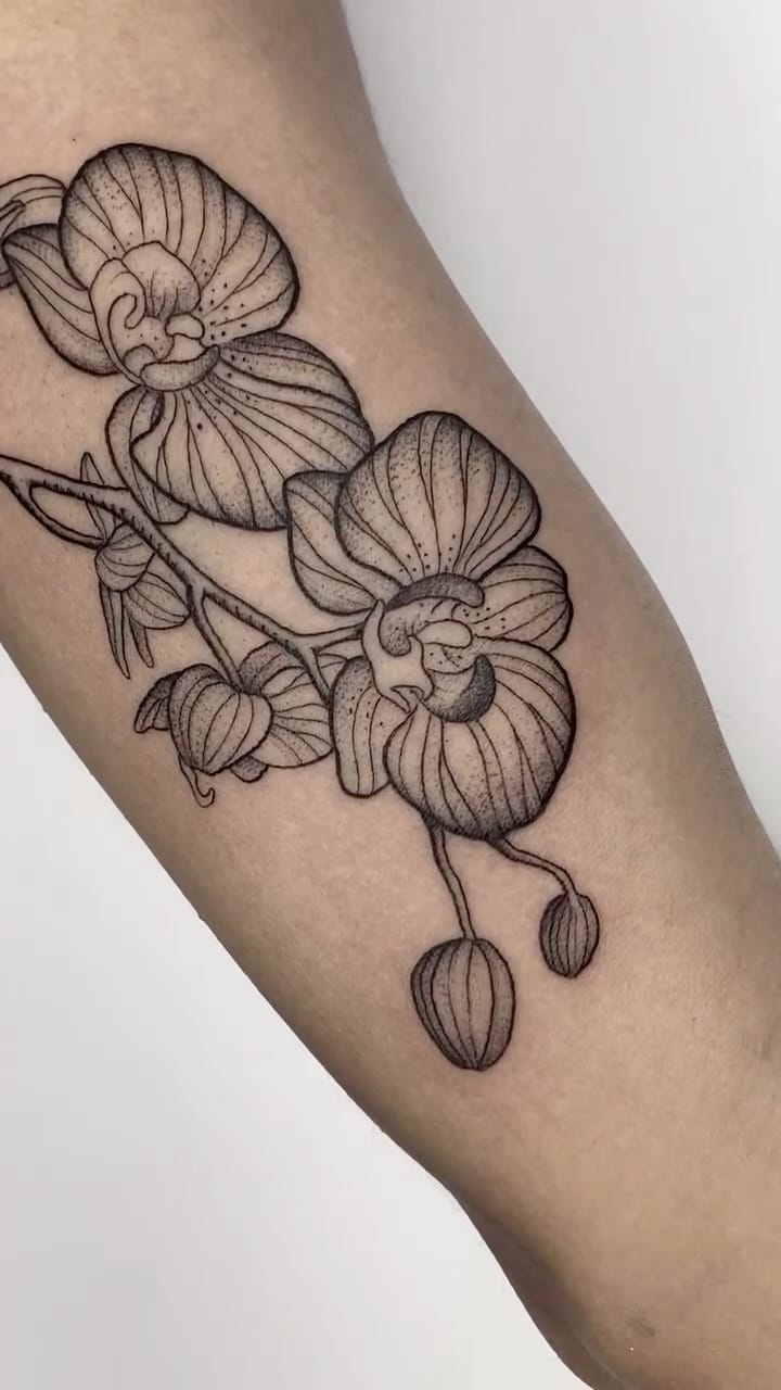 Post 10 by ELVIRA SECO GARCIA on Instagram (video)