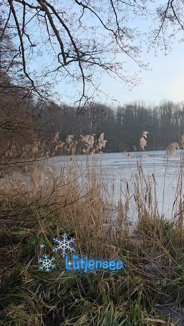 Post 3 by Ingo Gerwin on Instagram (video)