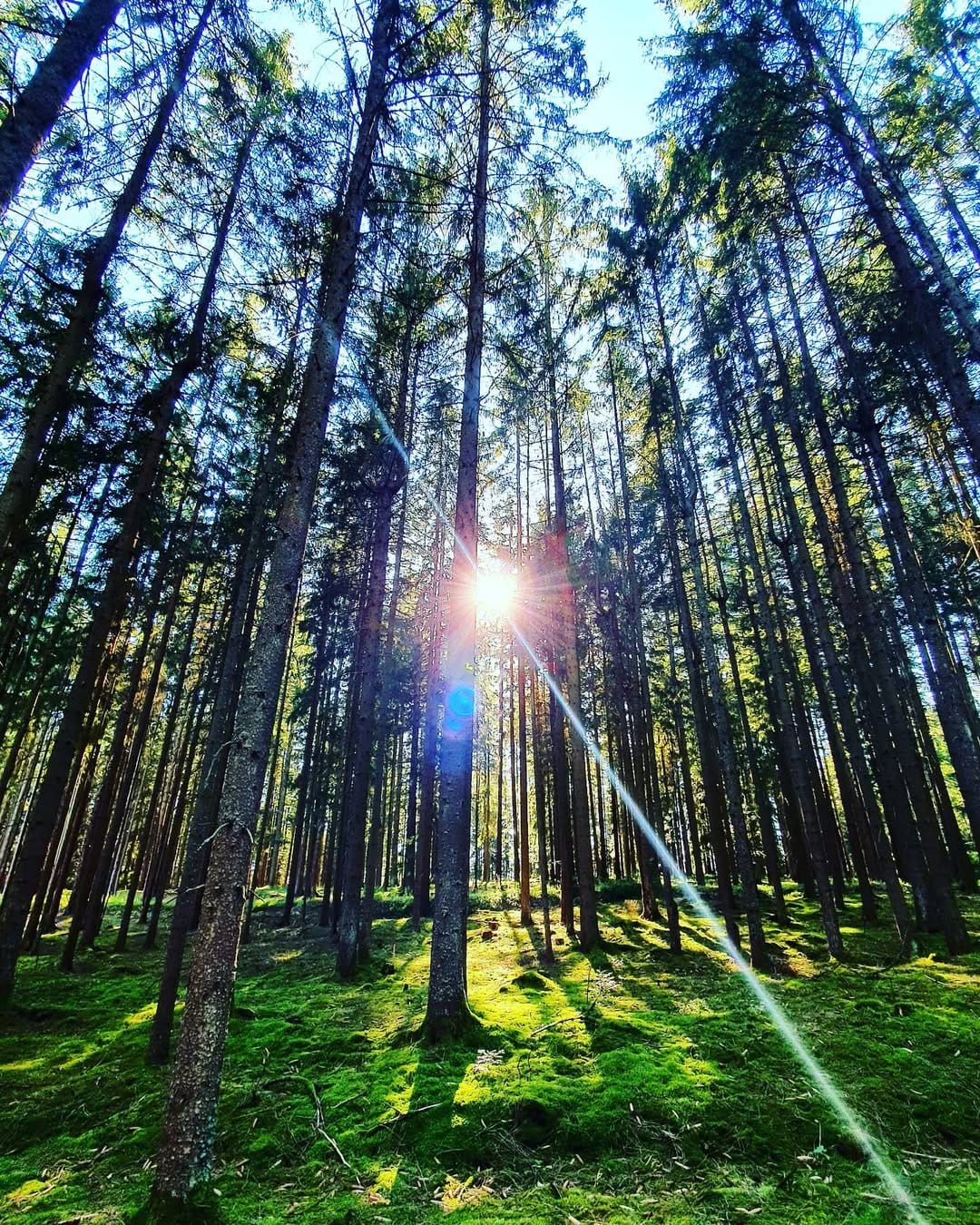 Post 1 by Ma Jo Mey on Instagram (image)