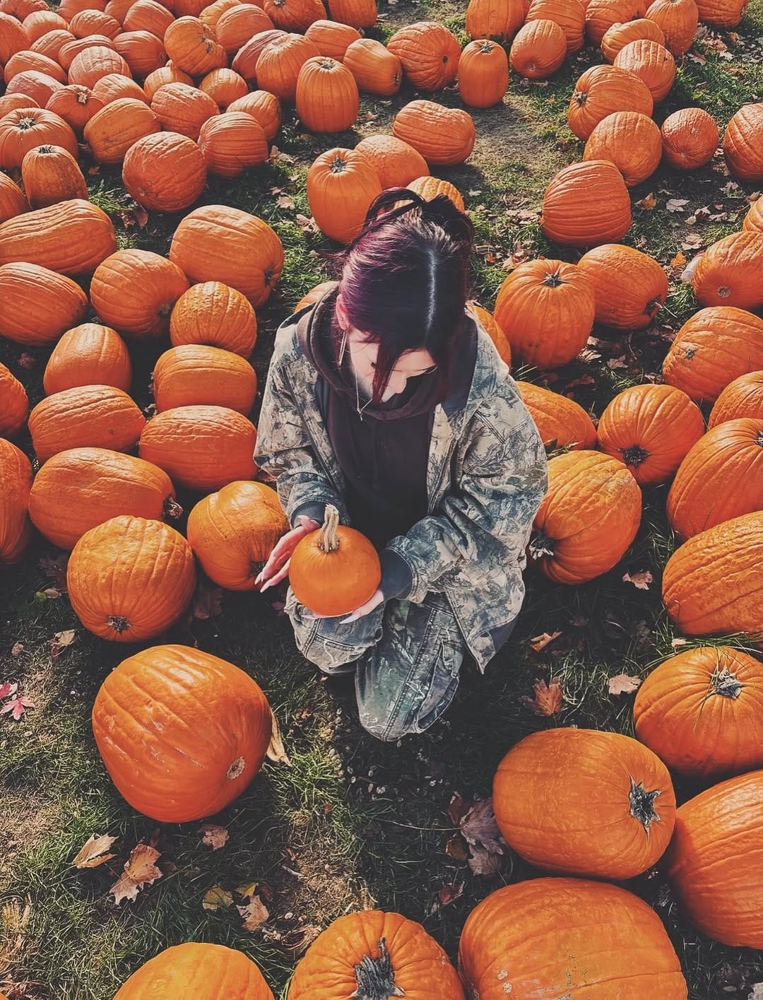 Post 4 by savannah  ₊ ཐི༏ཋྀ󠀮 on Instagram (carousel)