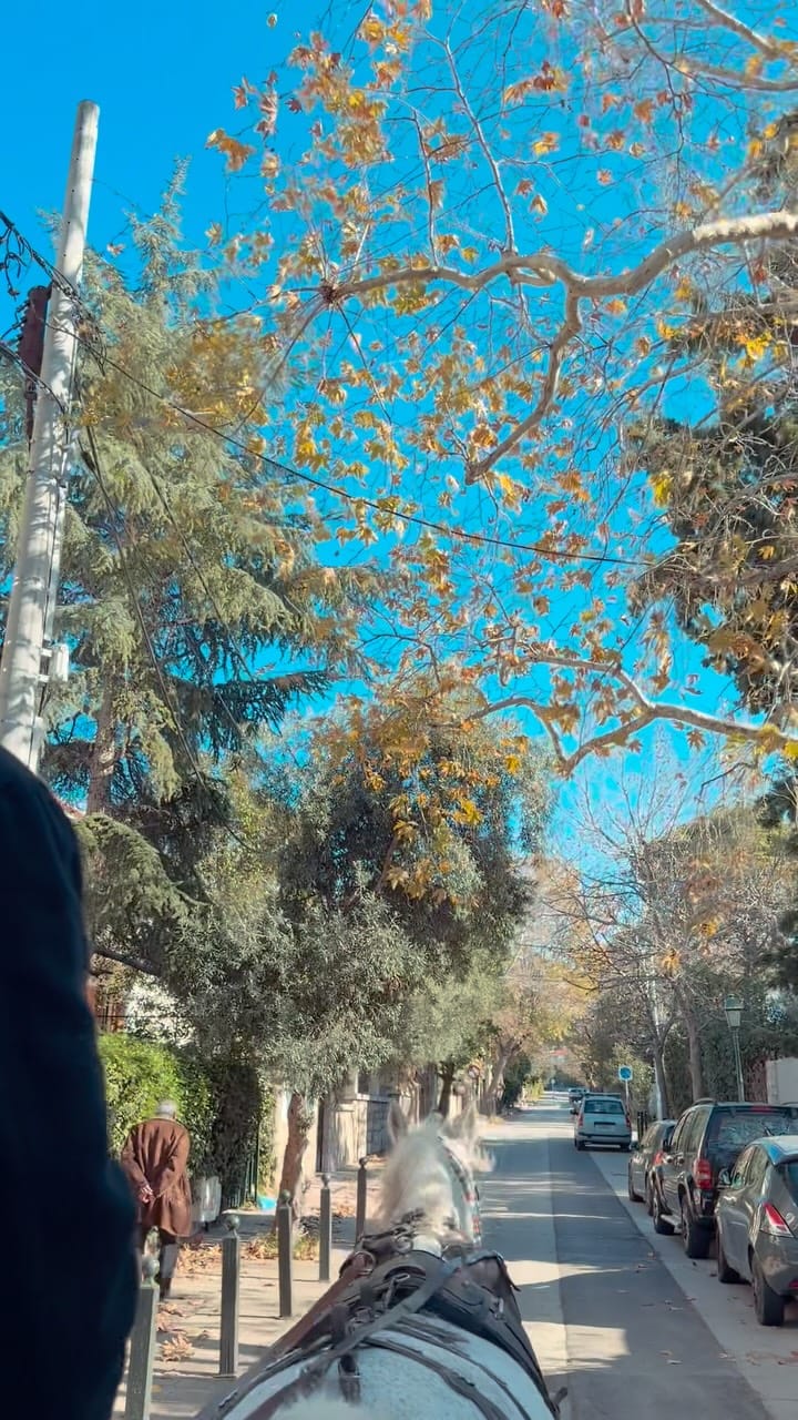 Post 3 by Melina Bieber on Instagram (video)
