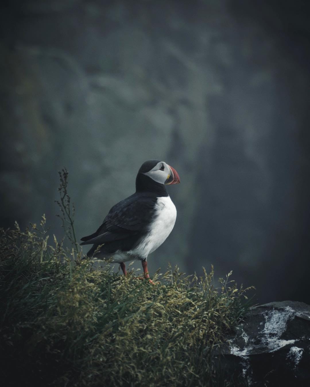Post 5 by Sven Doll on Instagram (image)