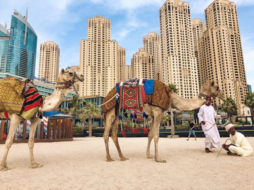 Post 6 by TRAVELLERS  DAILY on Instagram (image)