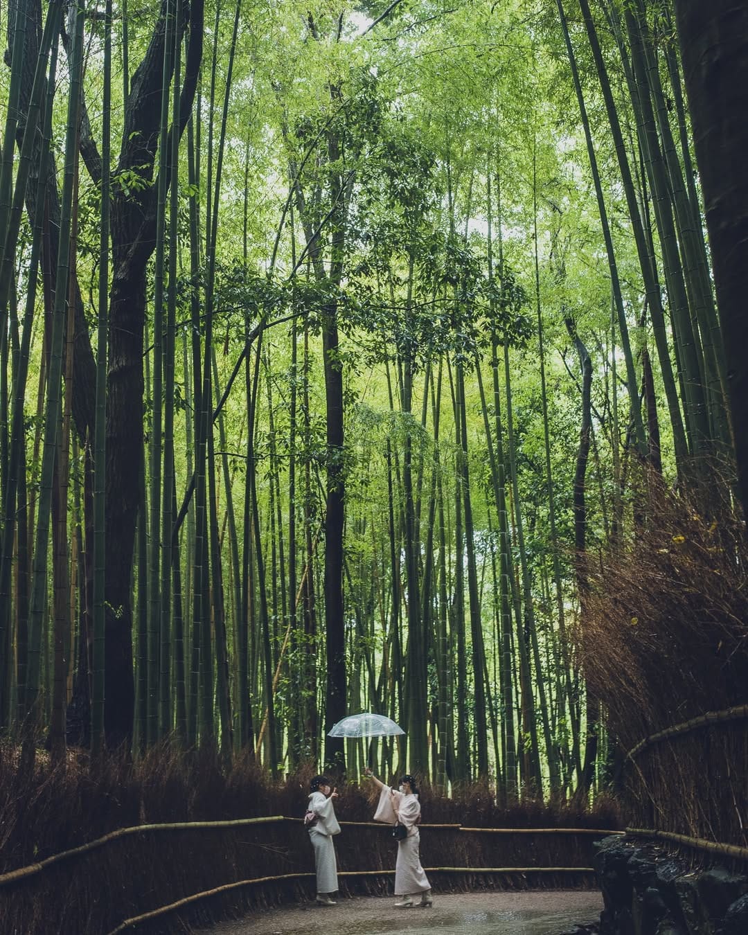 Post 10 by Sebastien Mas Photography on Instagram (image)