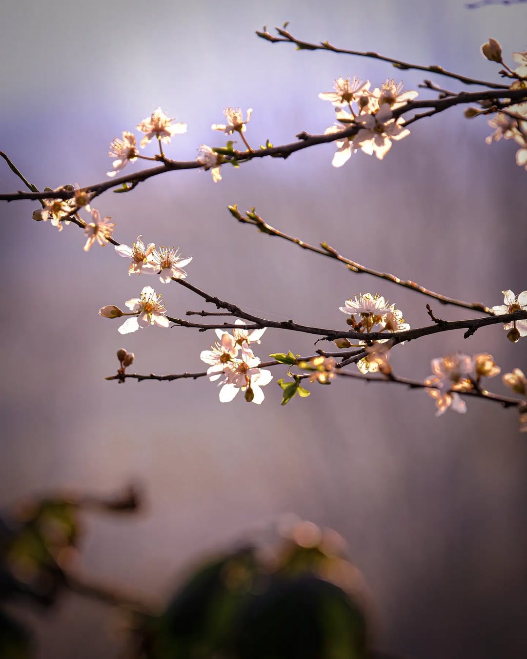 Post 3 by ʀᴀʟꜰ on Instagram (image)