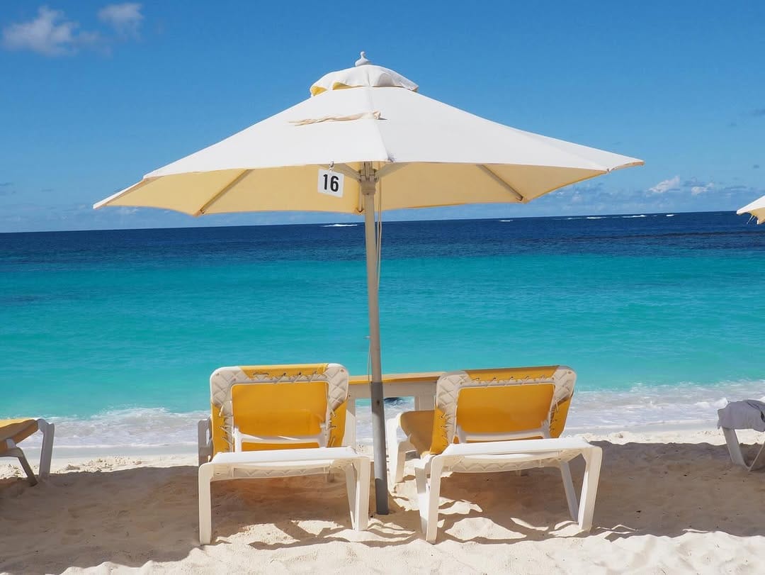 Post 3 by Sea The Label 🌞 on Instagram (image)